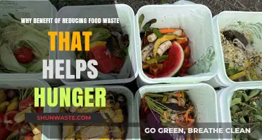 Sustainable Solutions: How Reducing Food Waste Combats Hunger