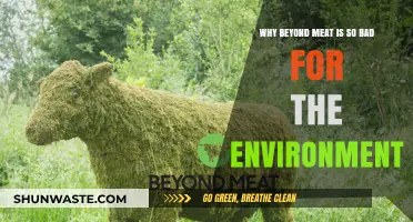 Beyond Meat's Environmental Impact: Uncovering the Hidden Ecological Costs