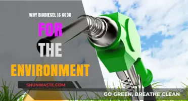 Biodiesel Benefits: Eco-Friendly Fuel for a Greener, Sustainable Future