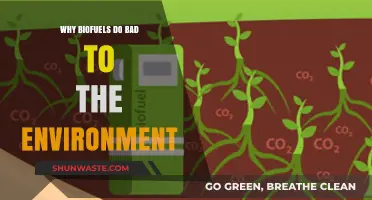 Biofuels' Hidden Costs: Environmental Impacts and Unsustainable Practices