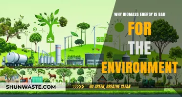Biomass Energy's Hidden Costs: Environmental Impacts and Sustainability Concerns