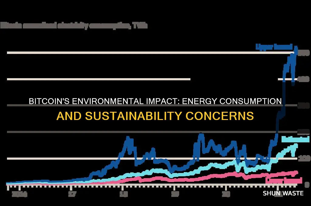 why bitcoin affect environment