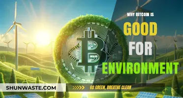 Bitcoin's Green Revolution: How Crypto Mining Promotes Sustainable Energy Use