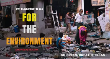 Black Friday's Dark Side: Environmental Impact and Unsustainable Practices
