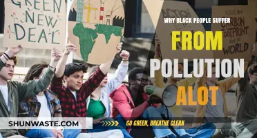 Environmental Injustice: Why Black Communities Bear the Brunt of Pollution