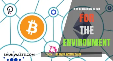 Blockchain's Environmental Impact: Uncovering the Hidden Ecological Costs