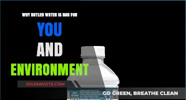 Bottled Water's Hidden Costs: Health and Environmental Hazards Explained