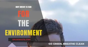 Brexit's Environmental Impact: A Threat to UK's Green Future