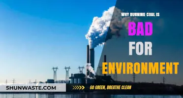 Burning Coal's Environmental Impact: Pollution, Climate Change, and Health Risks