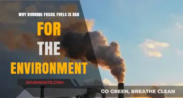 Burning Fossil Fuels: Devastating Environmental Impacts and Urgent Alternatives