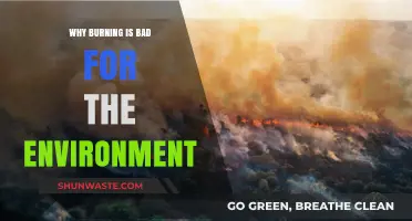 Burning's Environmental Impact: Harmful Effects on Air, Climate, and Ecosystems
