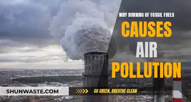 Fossil Fuels: Burning Question of Air Pollution