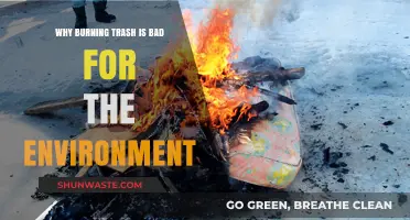 Burning Trash: Harmful Environmental Impacts and Sustainable Alternatives