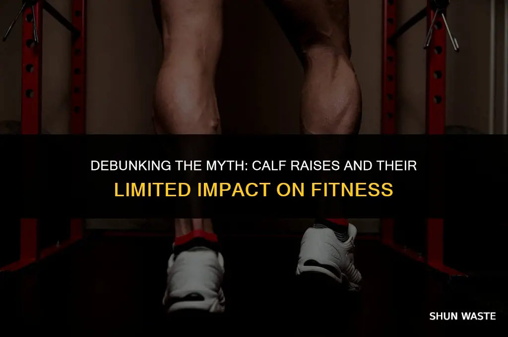 why calf raises are a waste of time