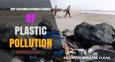 California's Plastic Pollution Crisis: Why Residents Must Act Now