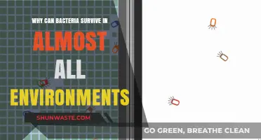 Bacteria's Resilience: Unlocking Secrets of Survival Across Diverse Environments