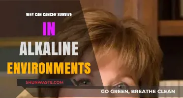 Alkaline Environments: Unraveling Cancer's Survival Mechanism and Resilience