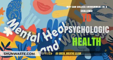 Navigating College: Psychological Health Challenges in Academic Environments