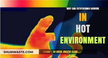 Ectotherms' Heat Survival: Unlocking Secrets of Hot Environment Adaptation
