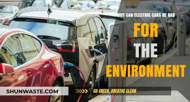 Electric Cars' Hidden Environmental Impact: Uncovering the Green Paradox