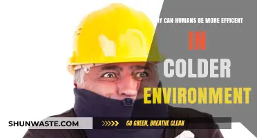 Cold Efficiency: How Humans Thrive in Chilly Climates