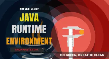 Why Java Runtime Environment is Essential for Your Applications