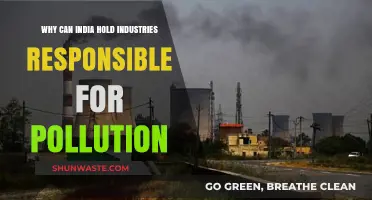 India's Legal Framework: Holding Industries Accountable for Environmental Degradation