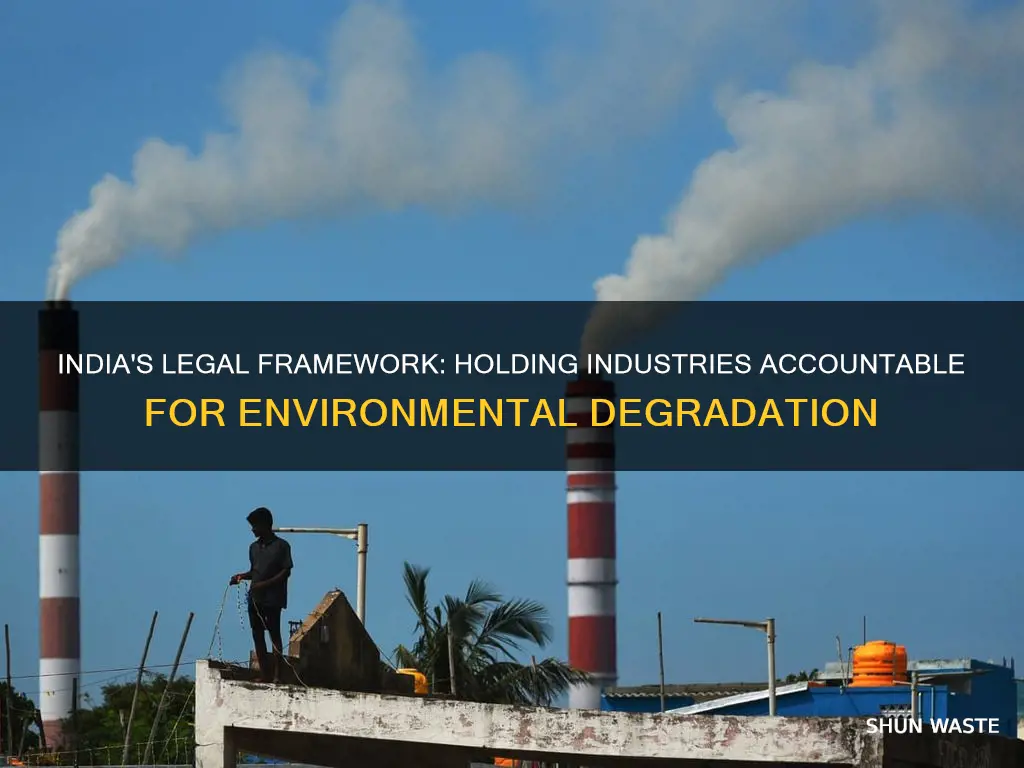 why can india hold industries responsible for pollution