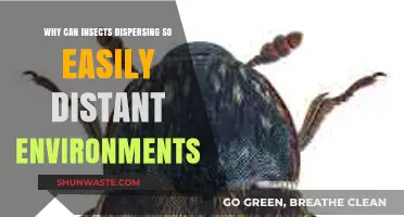 Insects' Remarkable Dispersal: Secrets to Thriving in Distant Environments