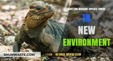 Invasive Species Success: Unraveling Their Survival Secrets in New Habitats