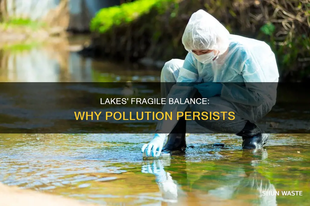 why can lakes not overcome pollution