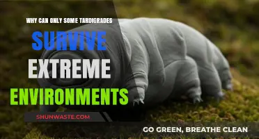 Unraveling Tardigrade Resilience: Secrets Behind Their Extreme Survival Abilities