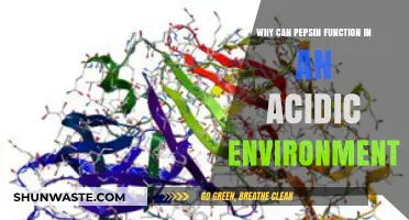 Pepsin's Acidic Resilience: Unlocking Digestive Enzyme Secrets in Harsh pH