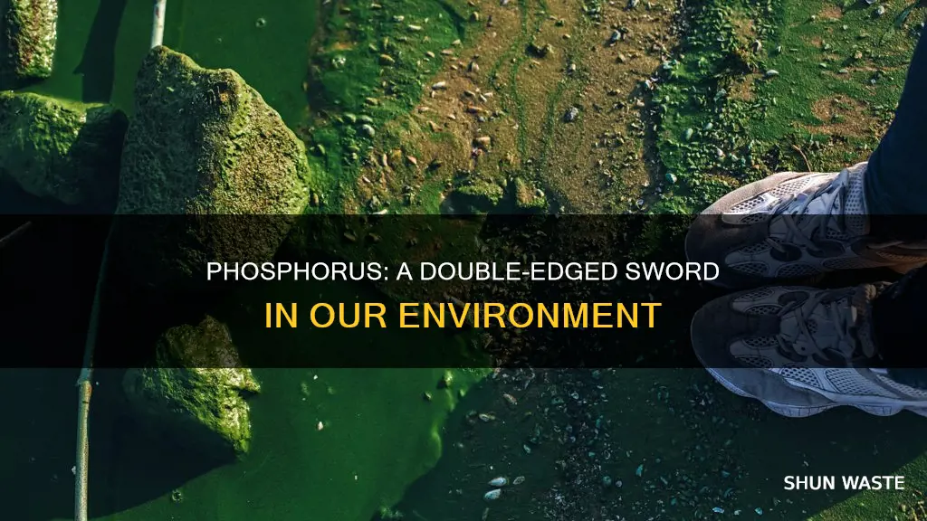 why can phosphorus be considered a pollutant