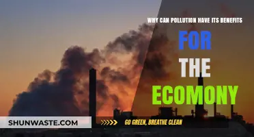 Pollution's Paradox: How Environmental Degradation Fuels Economic Growth