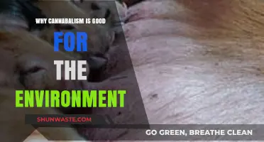 Sustainable Survival: Environmental Benefits of Cannibalism Explored