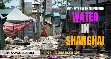 Shanghai's Water Pollution: Can China Fix It?