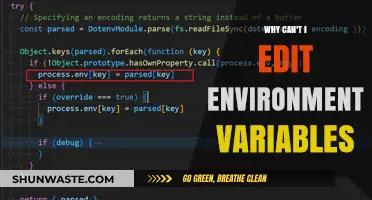 Troubleshooting Environment Variables: Why Can't I Edit Them?