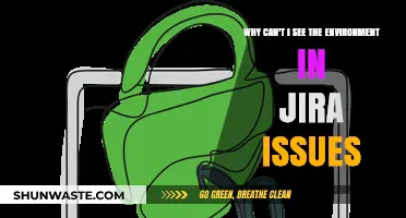 Troubleshooting Jira Issues: Why Environment Details Remain Hidden