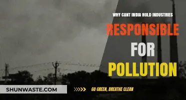 India's Pollution Crisis: Why Industries Remain Unaccountable for Environmental Damage