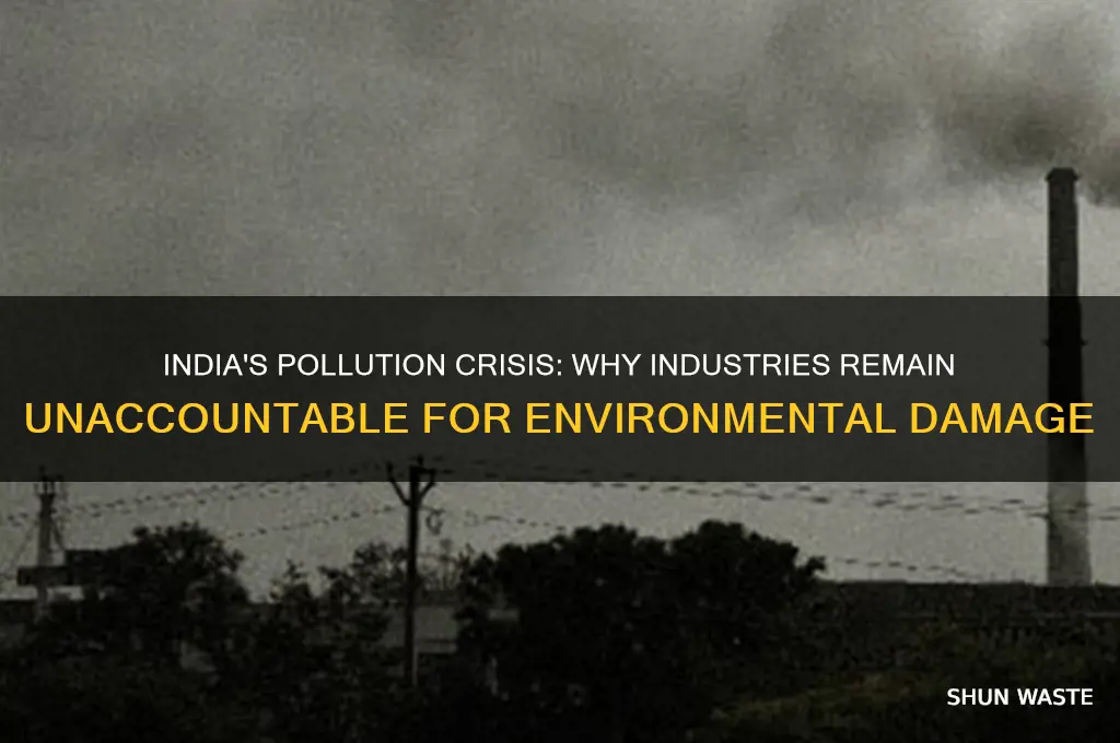why cant india hold industries responsible for pollution