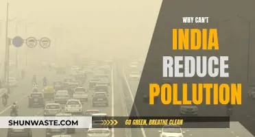 India's Pollution Problem: Why Can't It Be Solved?