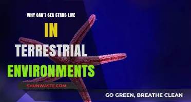 Why Sea Stars Can't Survive Outside Ocean Habitats