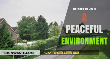 Seeking Serenity: Barriers to Living in a Peaceful Environment