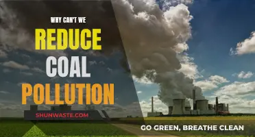 The Dark Side of Coal: Pollution's Stubborn Legacy