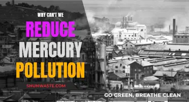 Mercury Pollution: An Unavoidable Global Crisis