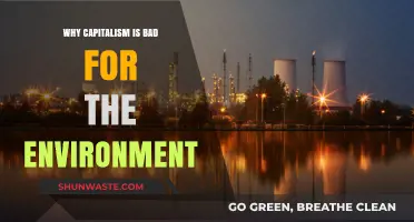 Capitalism's Environmental Toll: How Profit-Driven Systems Harm Our Planet