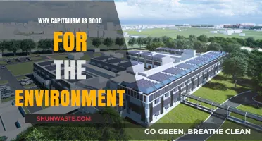 Capitalism's Green Potential: How Markets Drive Environmental Innovation and Sustainability