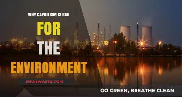 Capitalism's Environmental Toll: How Profit Undermines Our Planet's Health