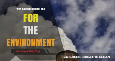 Carbon Dioxide's Harmful Impact: Understanding Its Environmental Consequences